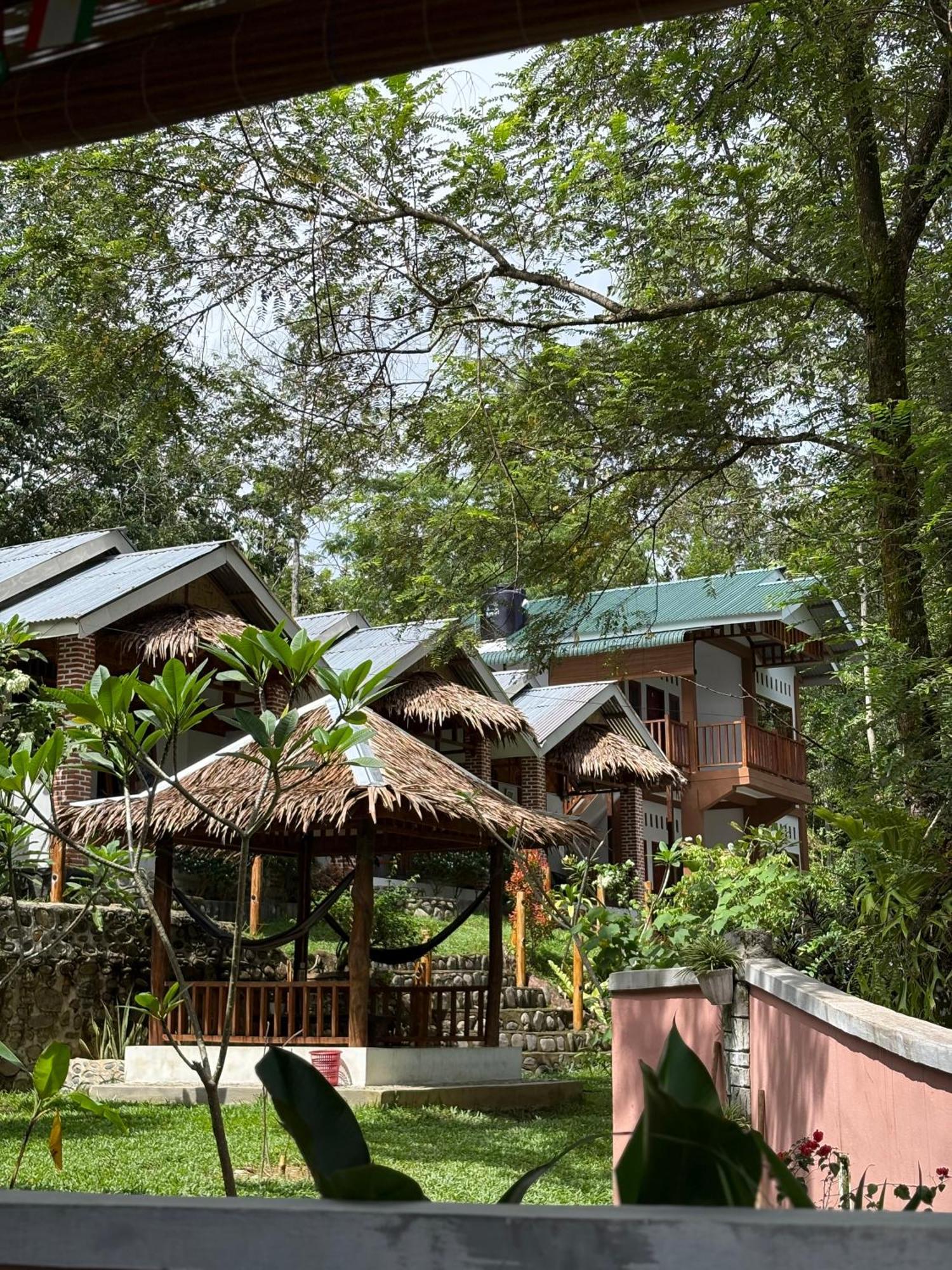 Asim Paris Guesthouse & Jungle Trekking Bukit Lawang Exterior photo